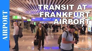 TRANSIT WALK AT FRANKFURT Airport FRA Terminal 1  Connection Flight Transfer Arriving amp Departing [upl. by Drida]